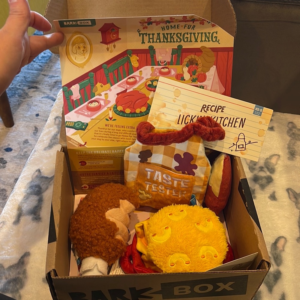 BARK BOX  Home Fur Thanksgiving Toy Box NTW